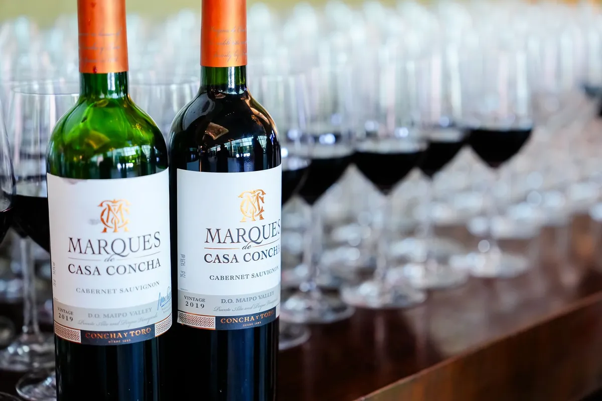 Desvendando o Corpo do Vinho: Como Identificar e Aproveitar Melhor suas Experiências