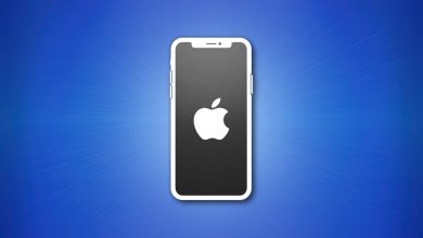 O que significa “iPhone localizável após desligar”?