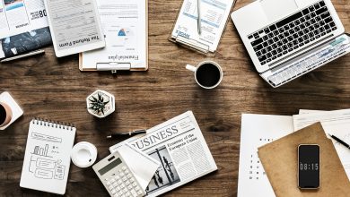 Xvidio Technologies Startups Brasil 2025: O que São, Como Funcionam e Exemplos de Sucesso